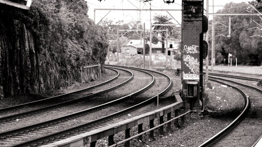 Railway lines curving towards each other at a junction.